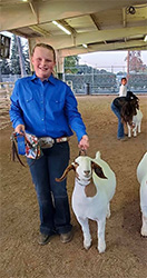 HJ Showstock Winners
